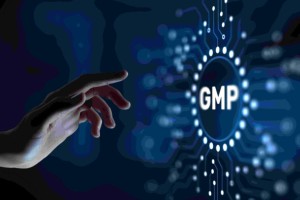 Dokumentacja GMP/GHP - skoroszyt